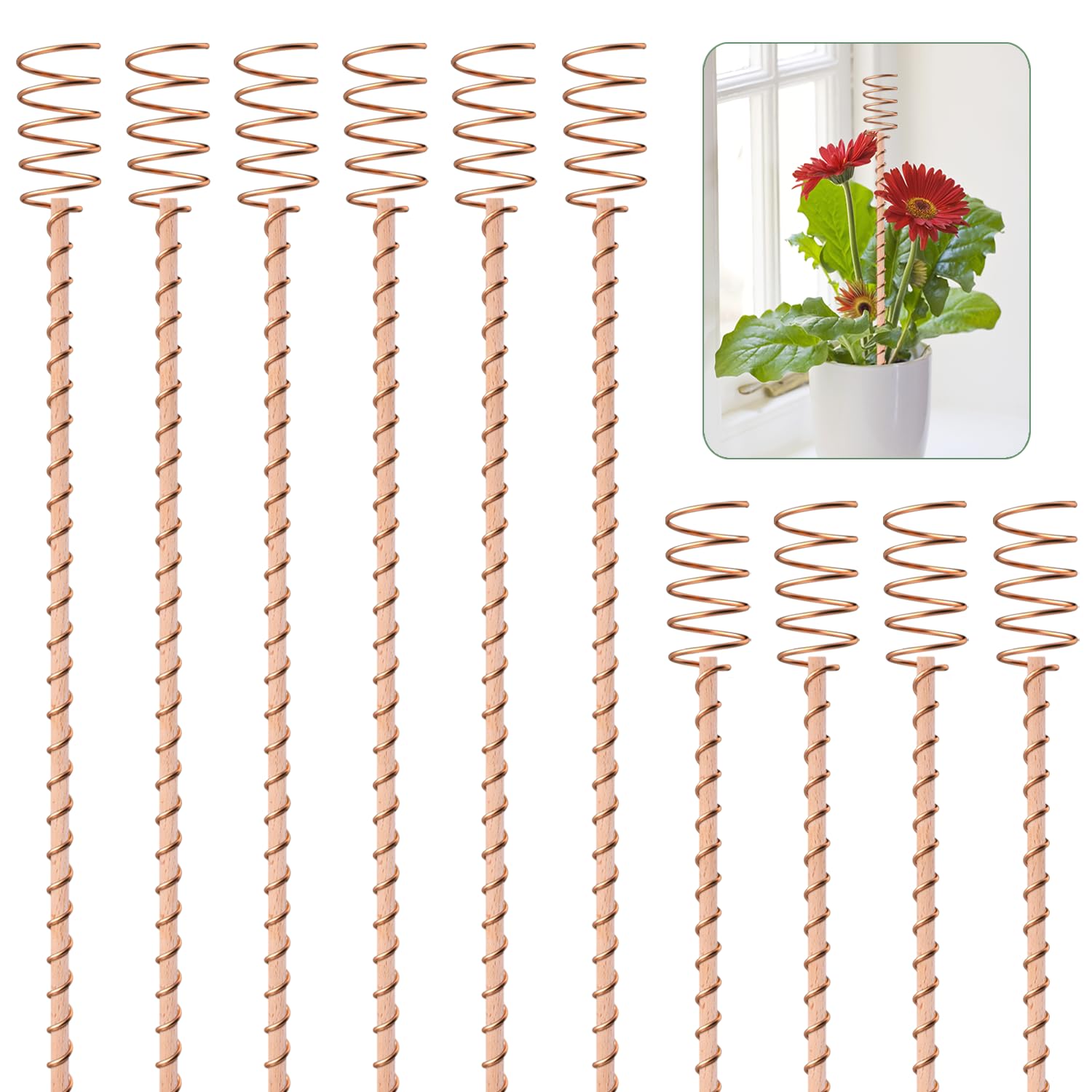 Dayimado electroculture stakes in soil for enhanced crop potential.