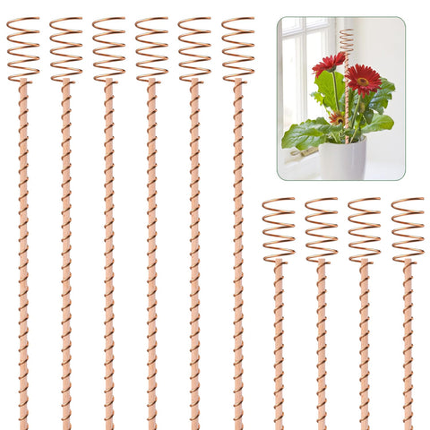 Dayimado electroculture stakes in soil for enhanced crop potential.
