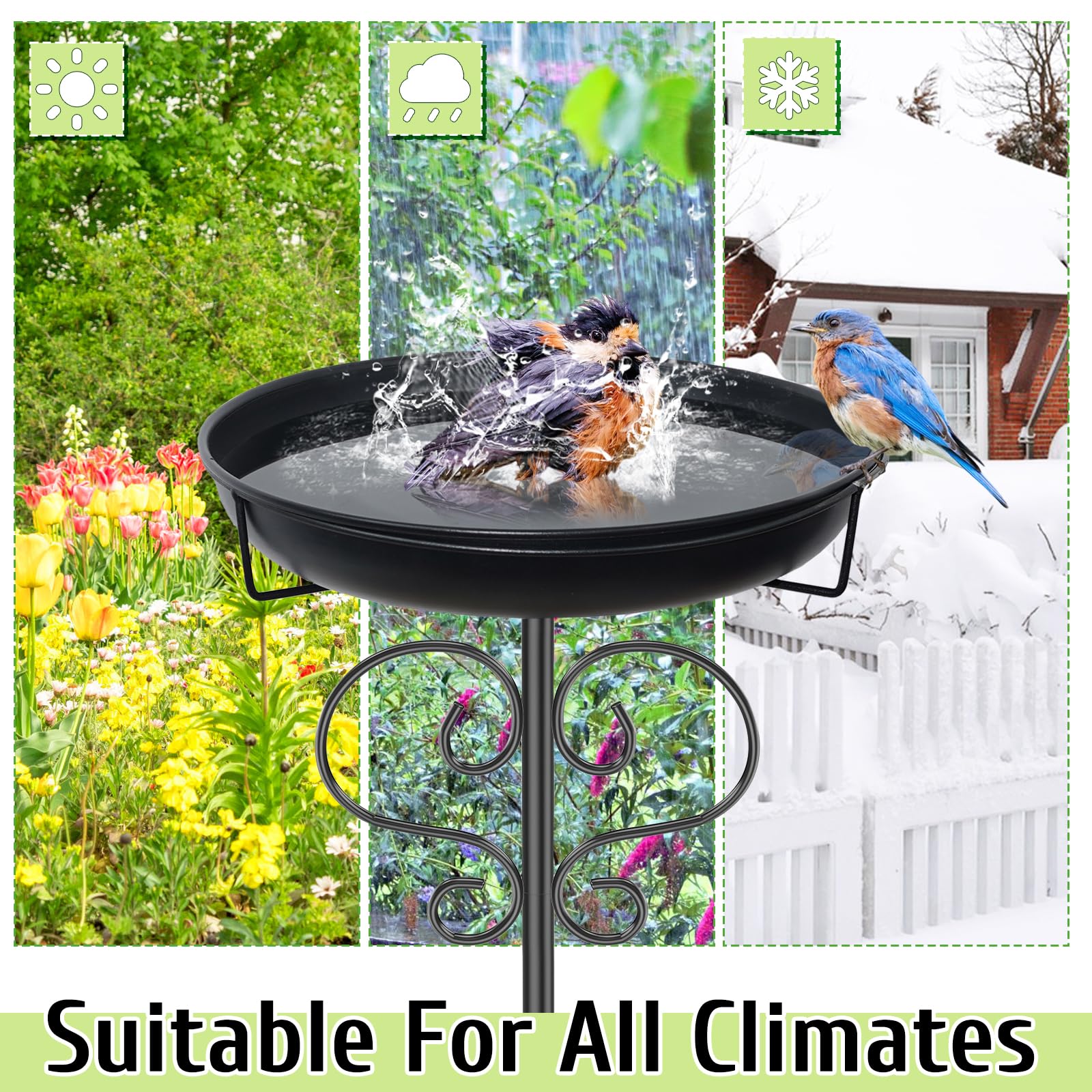 DAYSUP 12-inch bowl provides ample water for multiple birds.
