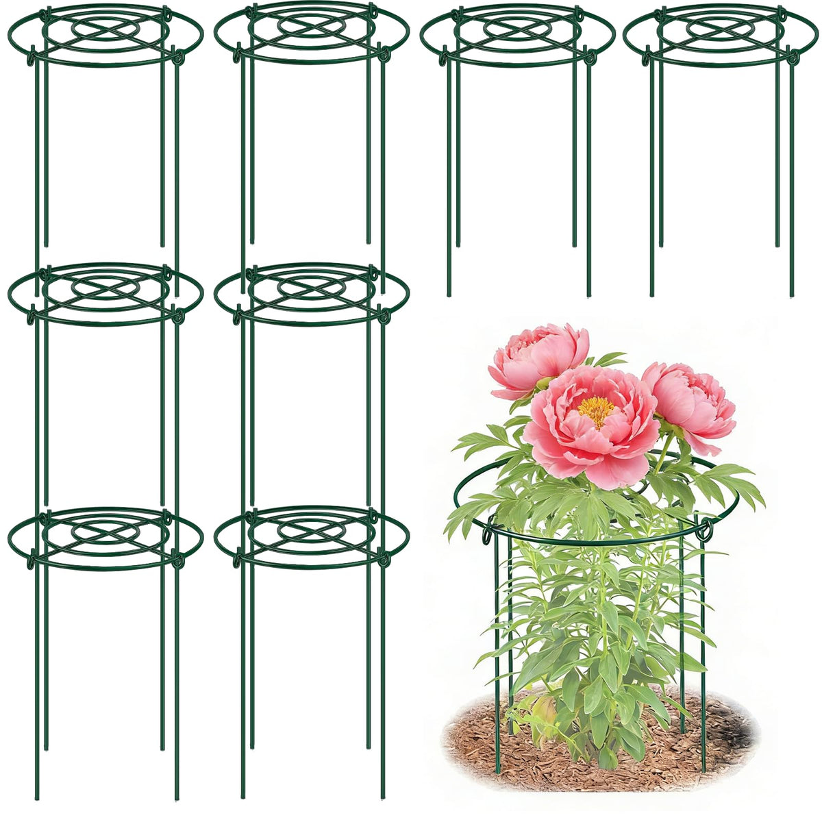 DAYUMKOU 8-pack peonies cages with grid-top provide stable bloom support.