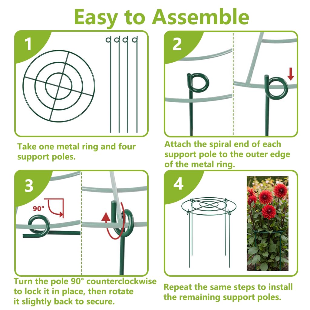 DAYUMKOU keeps stems neat and blooms upright in any garden.