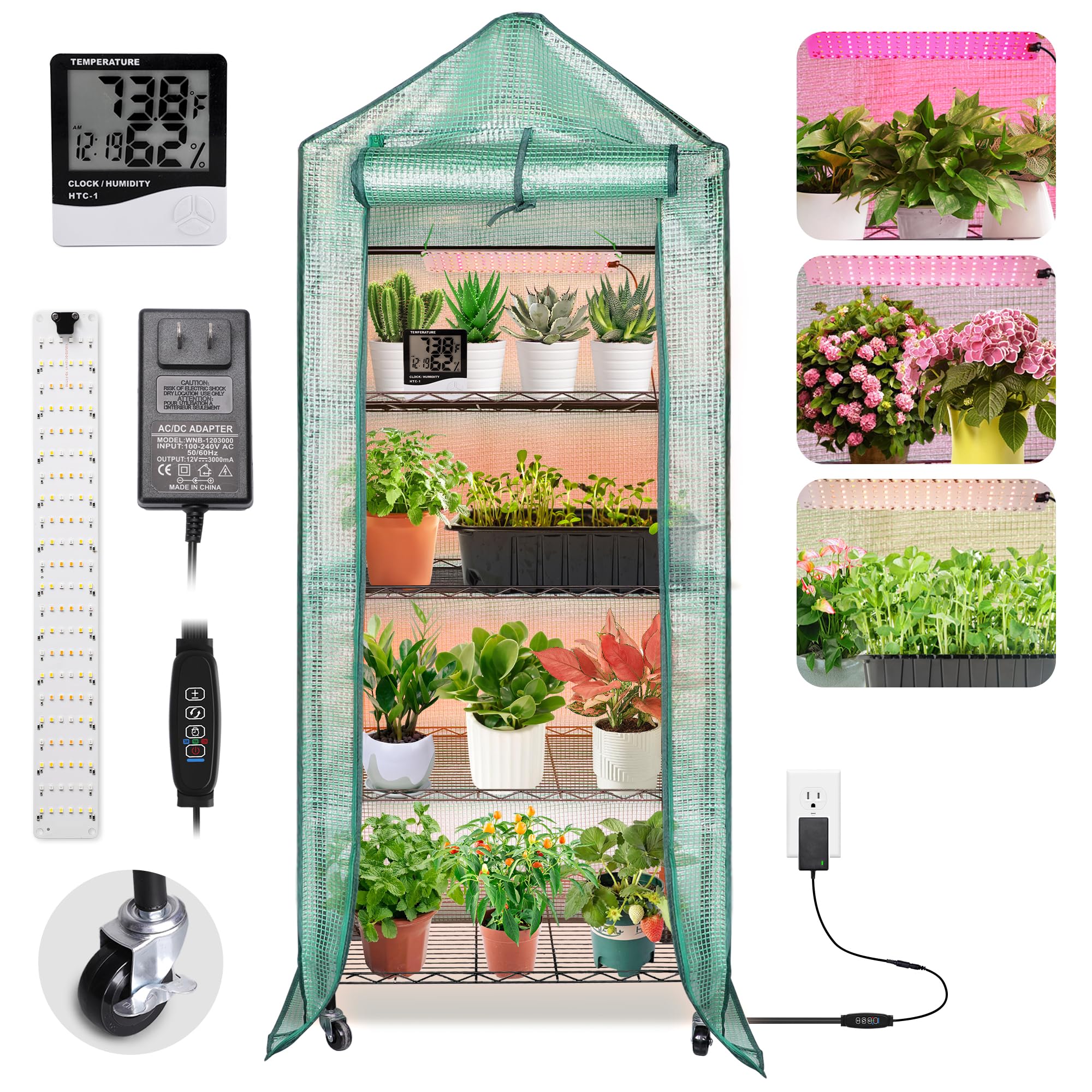 DazSpirit 4-Tier Indoor Greenhouse with grow light boosts seed starting success.