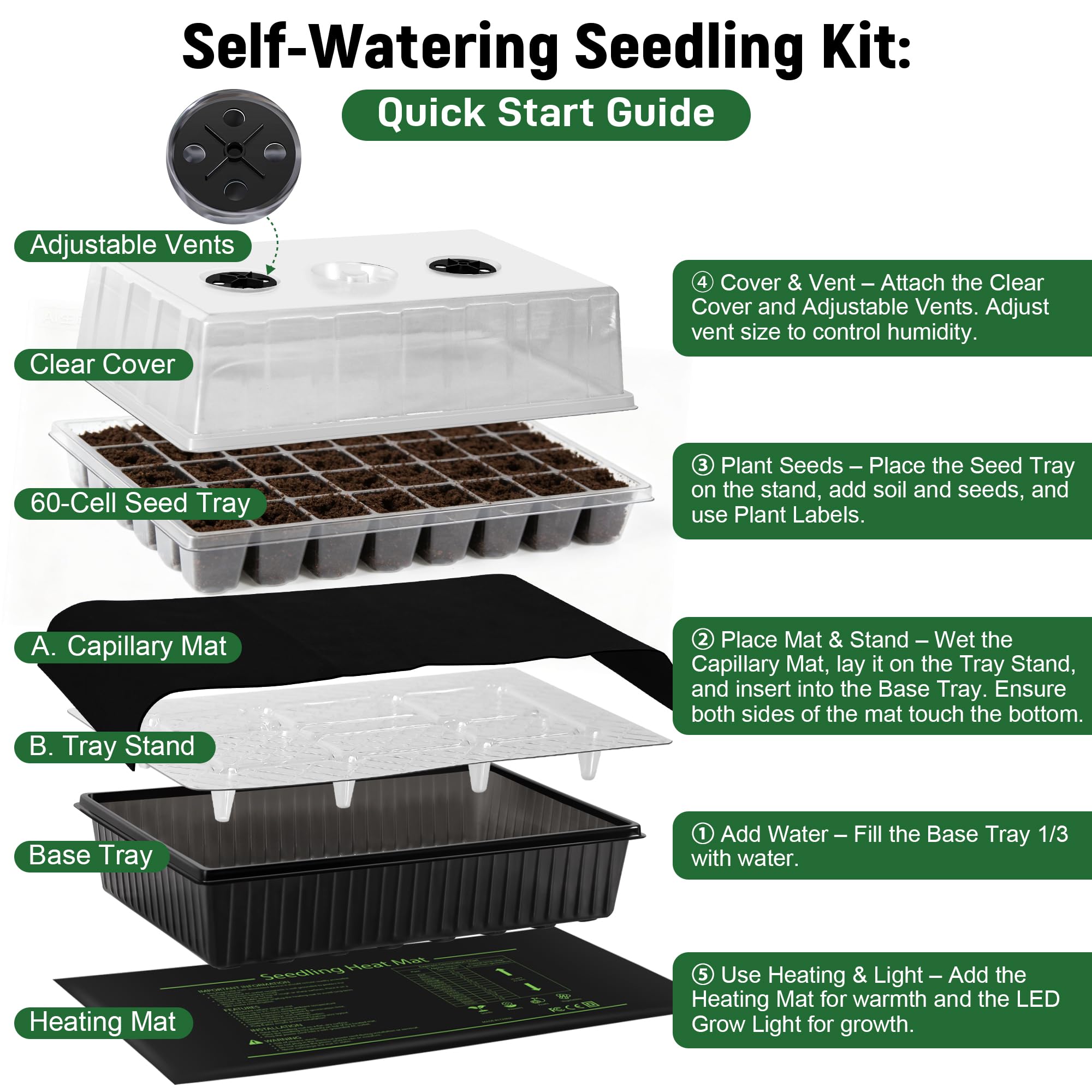 DazSpirit indoor seed starting kit ready for tomatoes, peppers, and herbs.
