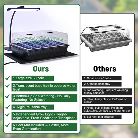 DazSpirit mini gardening tools included for quick transplanting and care.