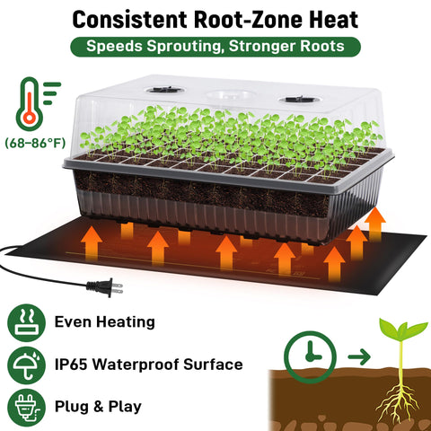 DazSpirit plant labels help track varieties during indoor propagation.