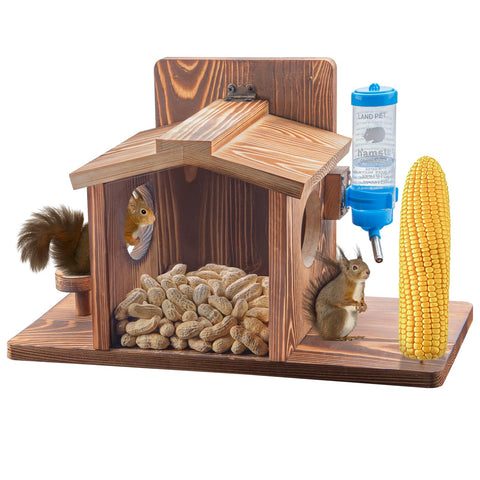 DAZUINIAO outdoor squirrel feeder in setup, attracting backyard wildlife