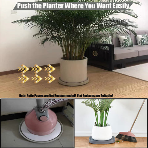 Dcpes clean-beige plant pallet design complements modern interiors.