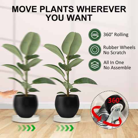 Dcpes invisible casters protect floors while moving pots quietly.