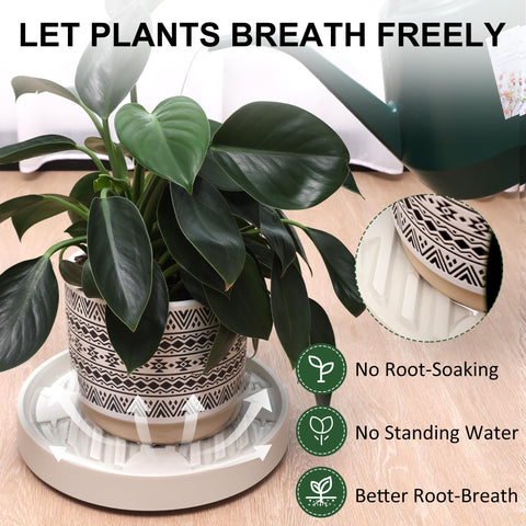 Dcpes water grooves plant mover helps manage excess moisture around pots.