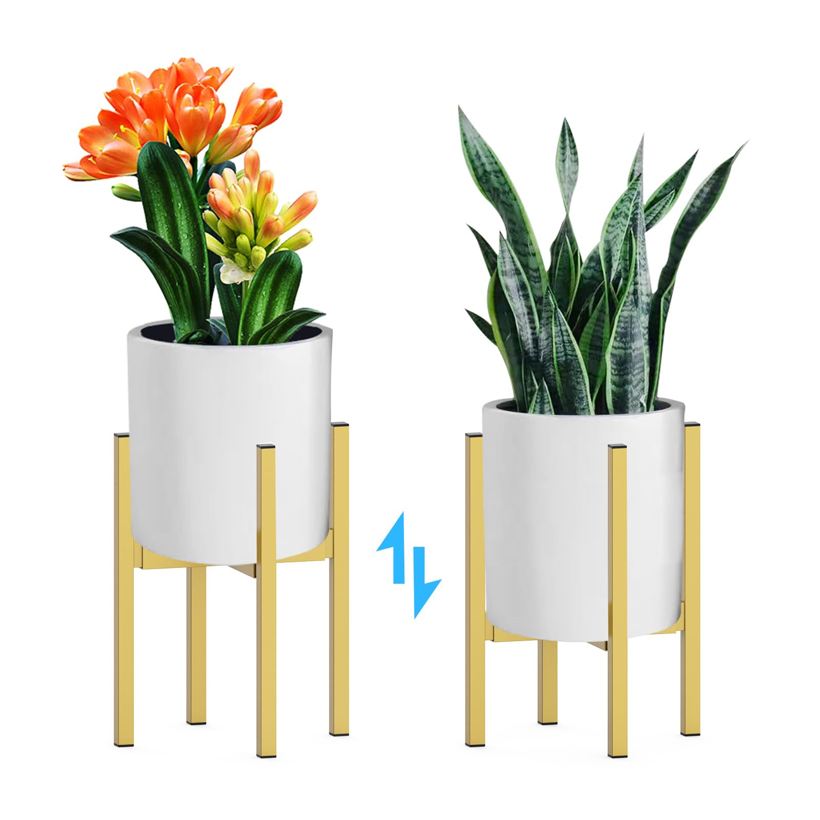DDPow heavy plant stand in corner demonstrates space-saving indoor outdoor versatility