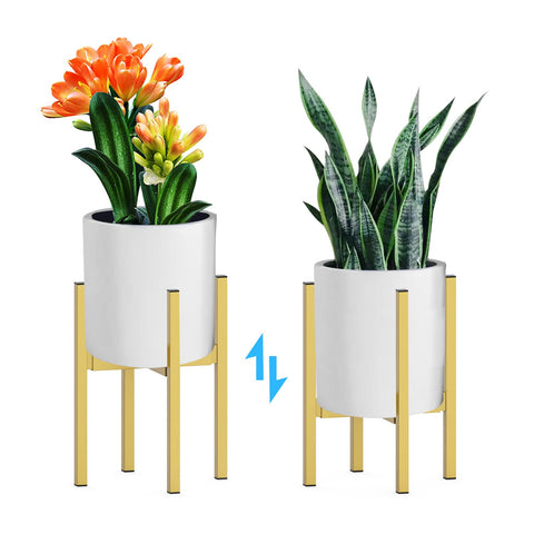 DDPow heavy plant stand in corner demonstrates space-saving indoor outdoor versatility