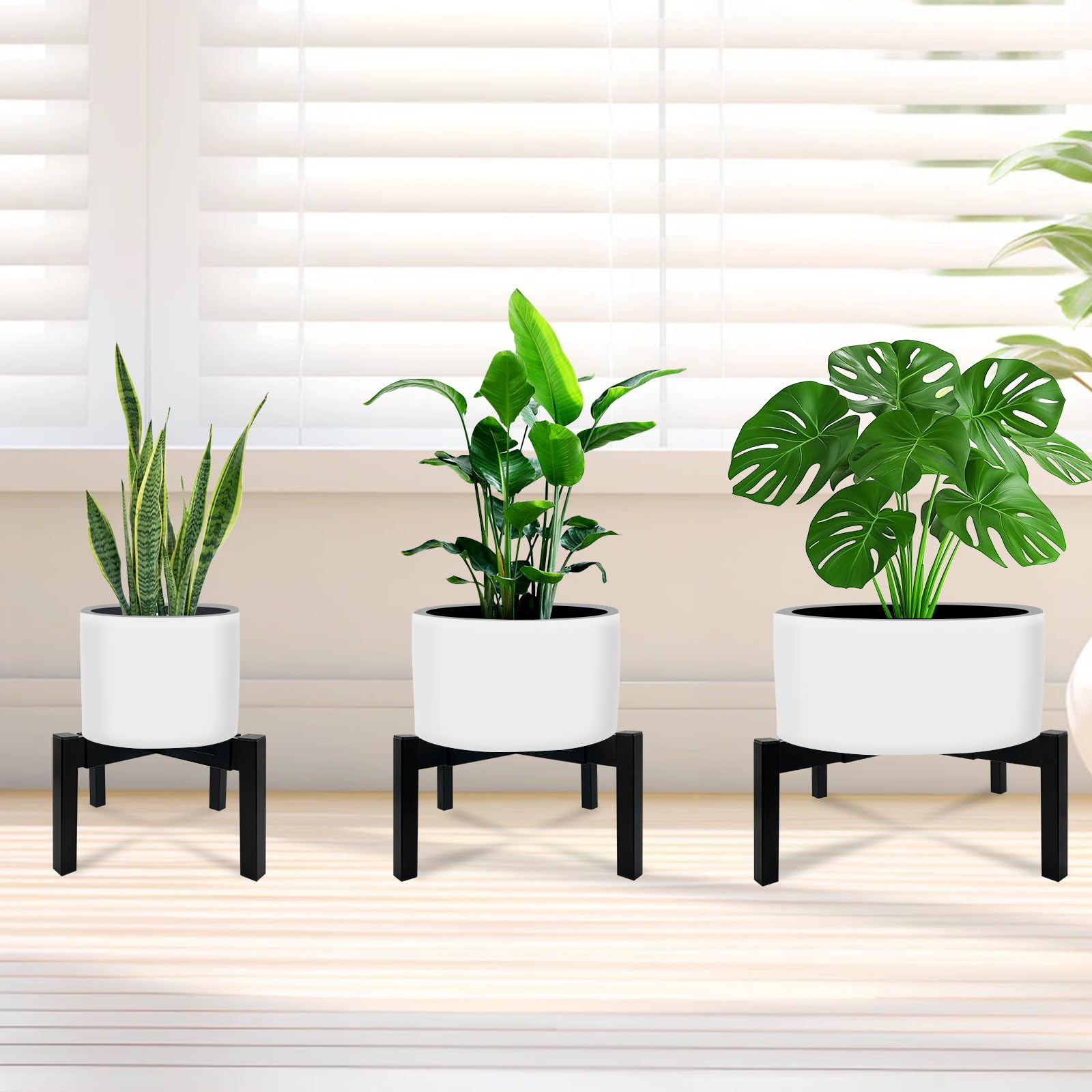 Indoor and outdoor placement ideas showcase the stand's versatility in decor.