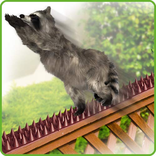 De-Bird spikes installed along a gate for effective deterrence.