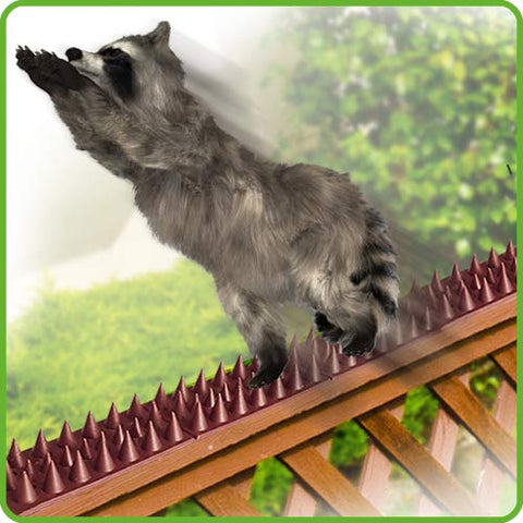 De-Bird spikes installed along a gate for effective deterrence.