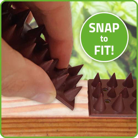De-Bird anti-climb spikes on a fence deter small climbers.
