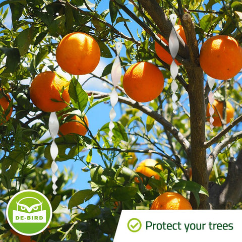 Silver deterrent rods mounted on a tree branch for outdoor protection.