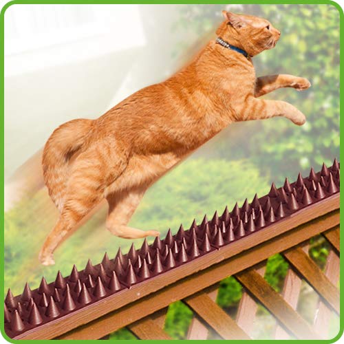 De-Bird 12-foot deterent set covers a wide perimeter.