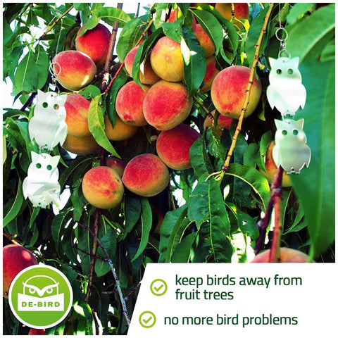 De-Bird garden deterrent owl in silver safeguards fruit trees from curious visitors.