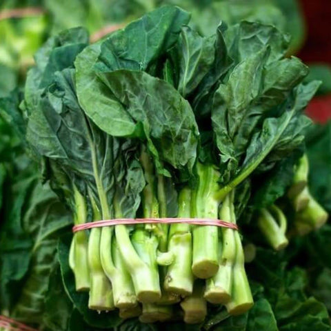dearbridal open-pollinated brassica-alboglabra for stable harvests