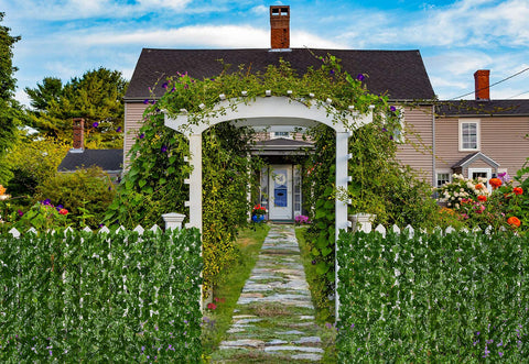 DearHouse fade-resistant ivy closeup emphasizes evergreen look year-round for outdoor spaces.