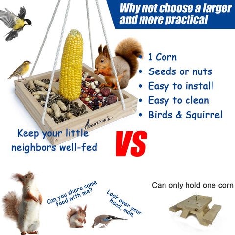 Birds feeding action demonstrates easy access and stable balance.