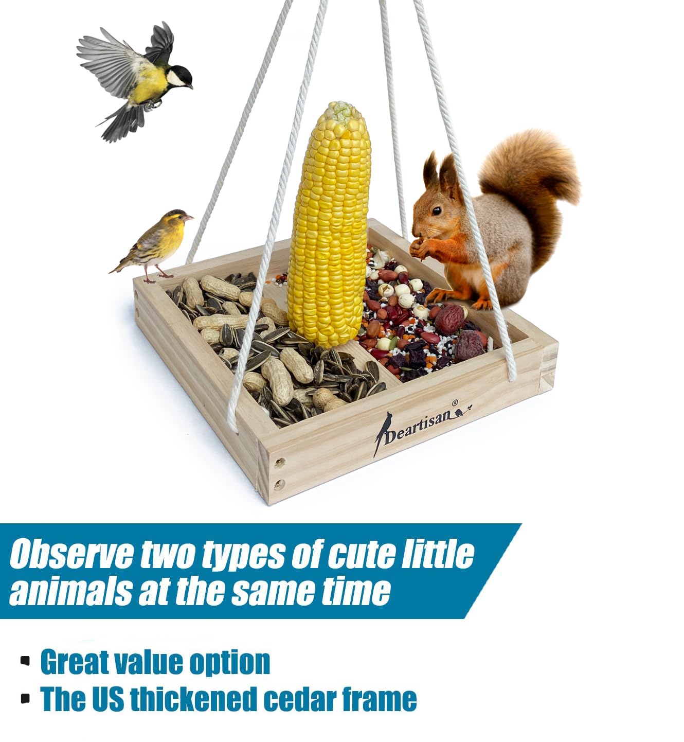 Attracts a variety of birds and squirrels for engaging wildlife viewing in yards.