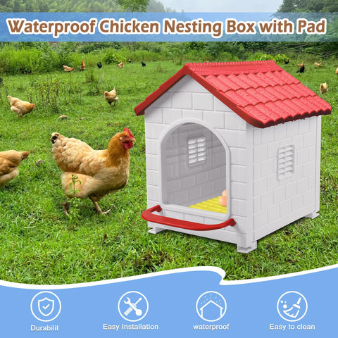 Deblue nesting box with entrance perch supports resting and stable perches.