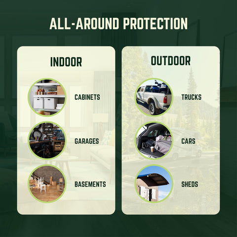 Deb's Ranch 10-pack ensures ongoing protection in multiple spaces
