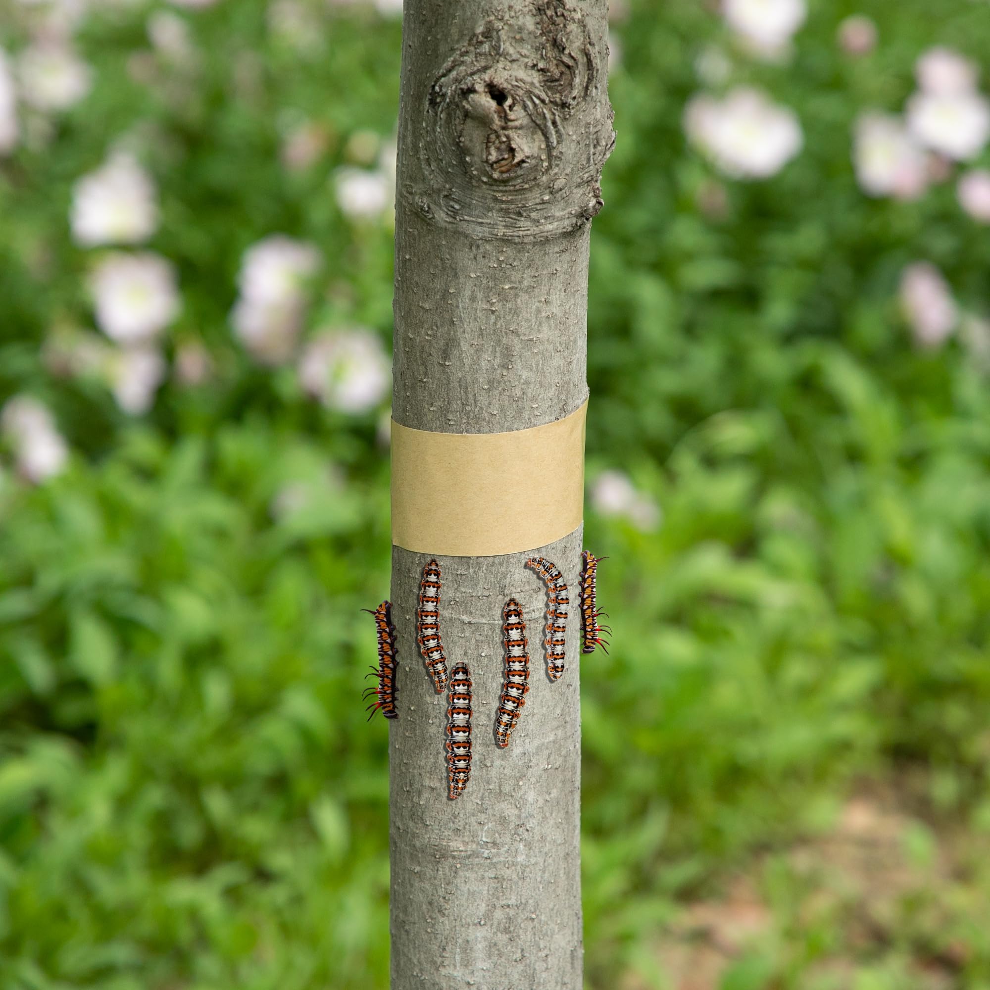 Easily cut to fit different tree sizes for selective protection with DECOHS.