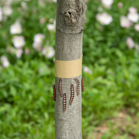 Easily cut to fit different tree sizes for selective protection with DECOHS.