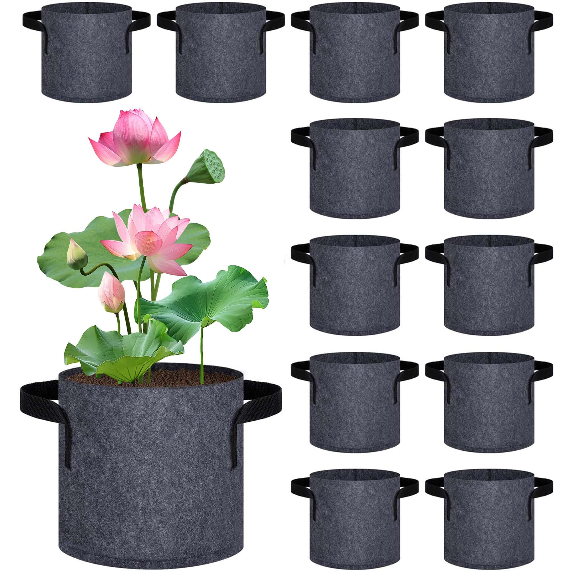DECOHS 12-pack aquatic plant pots with handles for easy pond setup