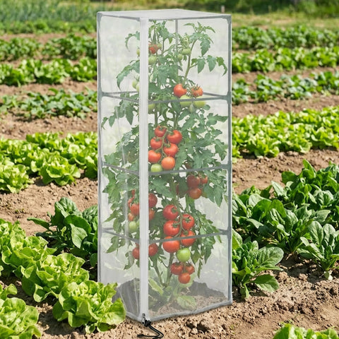 DECOHS netting shields vegetables from birds and pests during planting.