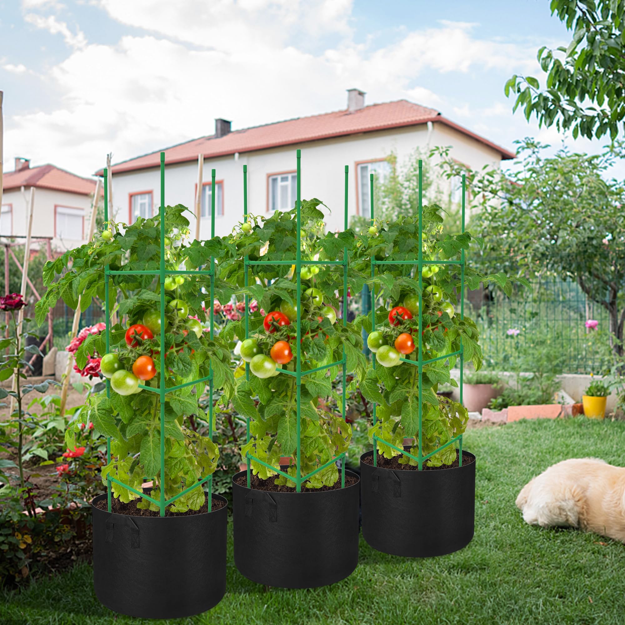 DECOHS durable garden cages keep plants growing upward