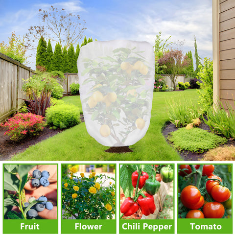 DECOHS white shade cloth protecting a fruit tree from direct sun