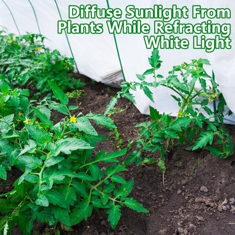 Garden setup with DECOHS shade cloth reduces heat for healthier vegetables.