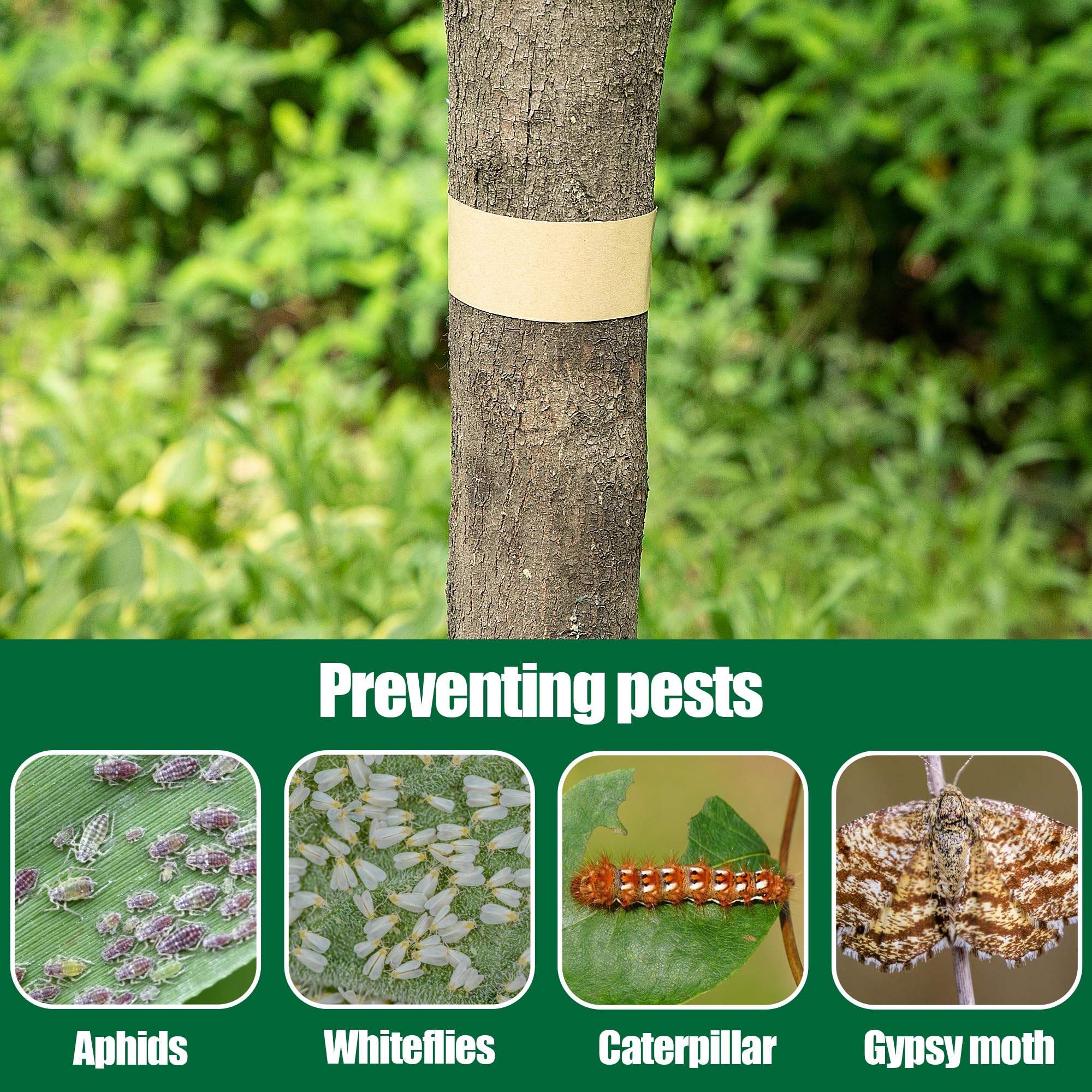 Outdoor use in yard and garden to protect multiple trees and shrubs with DECOHS tape.