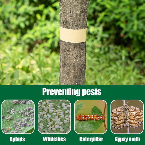 Outdoor use in yard and garden to protect multiple trees and shrubs with DECOHS tape.