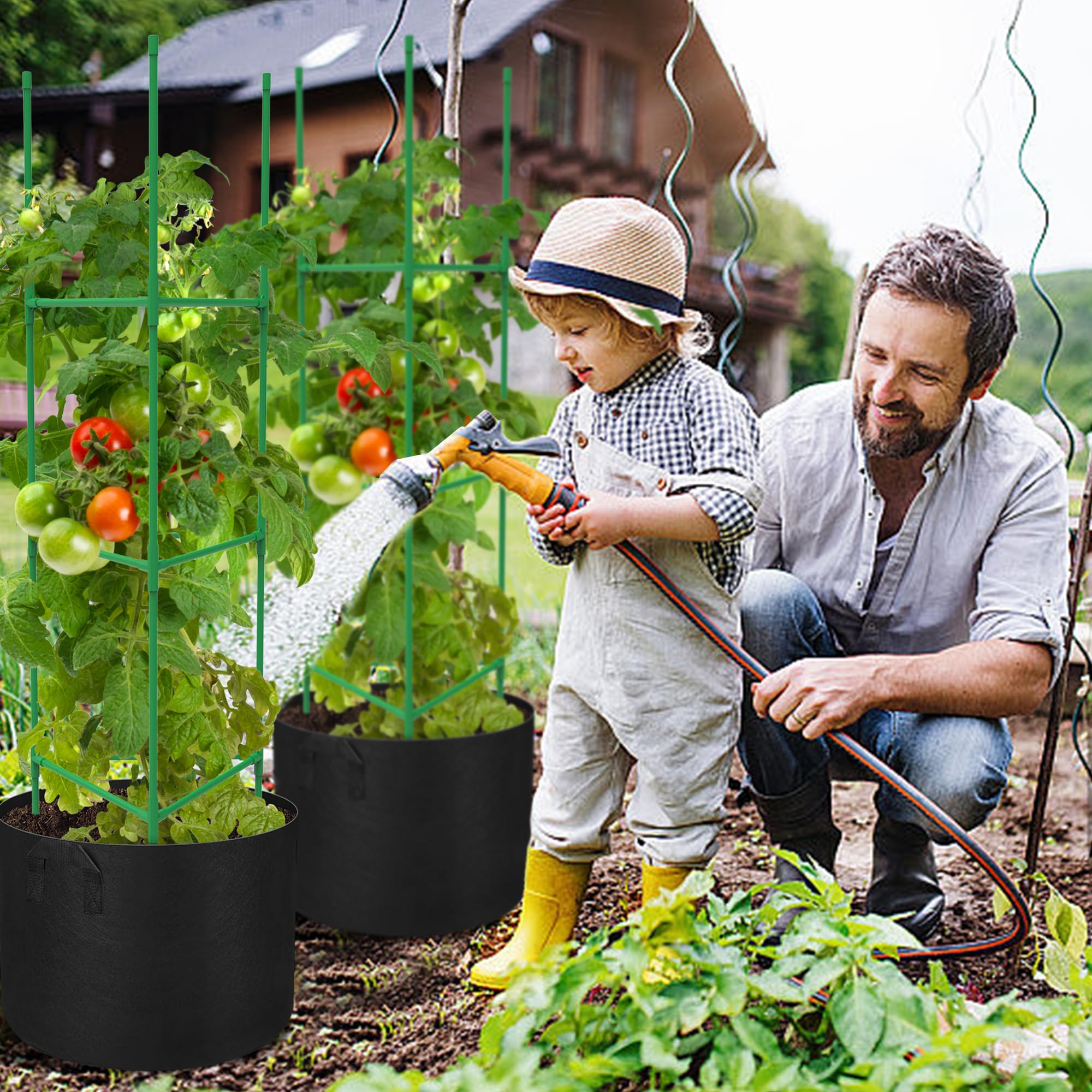 DECOHS plant support for climbing vegetables and fruits