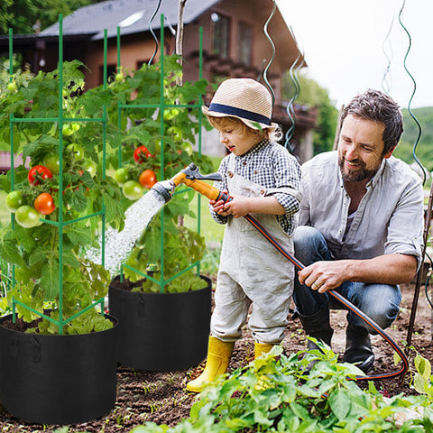 DECOHS plant support for climbing vegetables and fruits