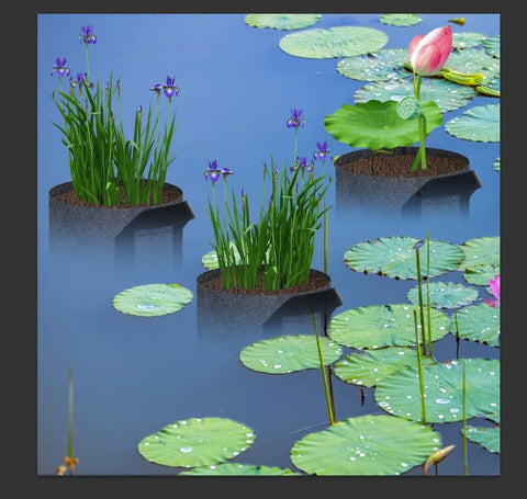 DECOHS portable pond pots are easy to clean and reuse after seasons