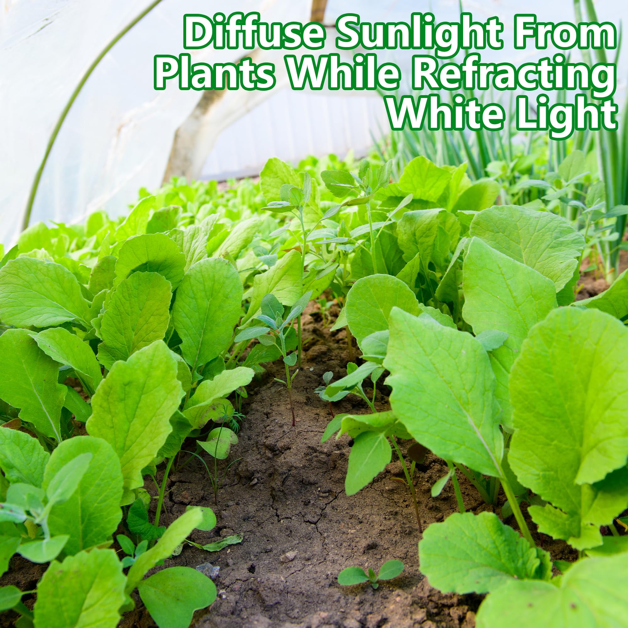 DECOHS shade cloth over garden beds providing shade for leafy greens.