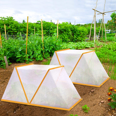 DECOHS vegetable-fruit guard early harvest by shielding crops without heavy-handed barriers.