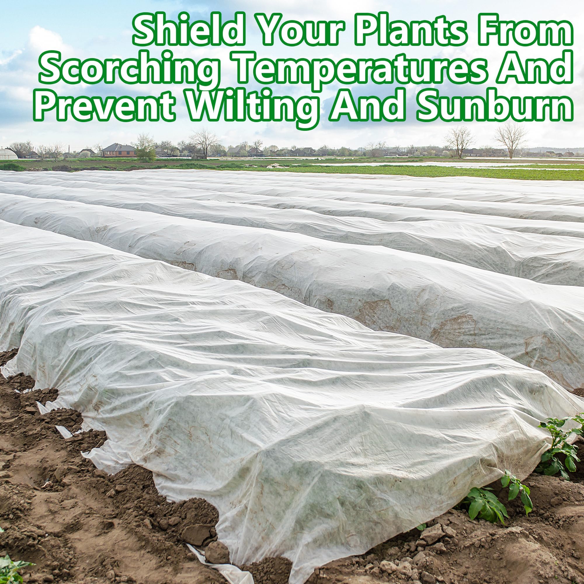 DECOHS shade cloth protects vegetable rows from direct sun exposure.
