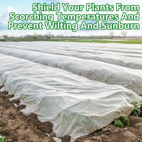 DECOHS shade cloth protects vegetable rows from direct sun exposure.