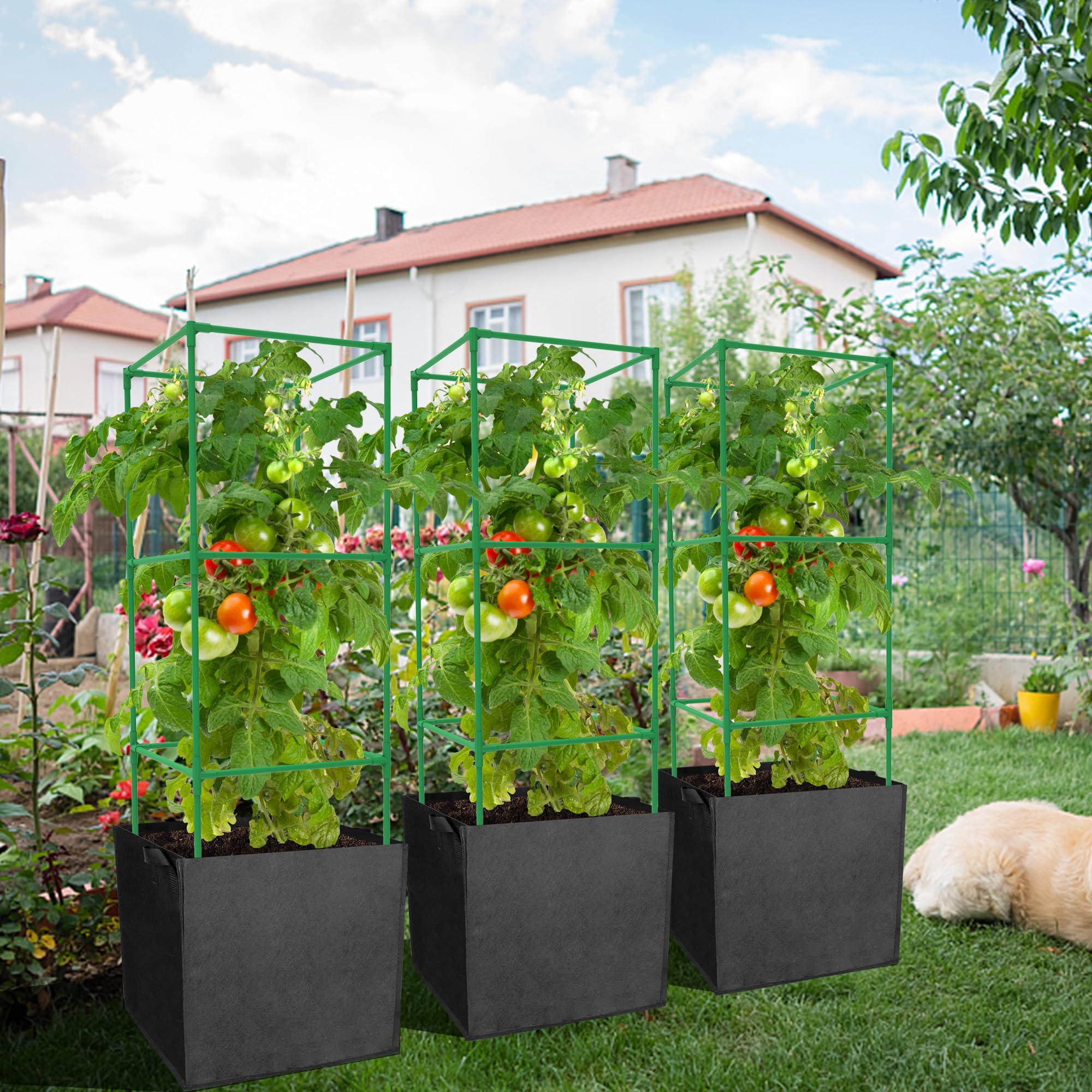DECOHS vertical climbing support enhances space efficiency in home gardens.