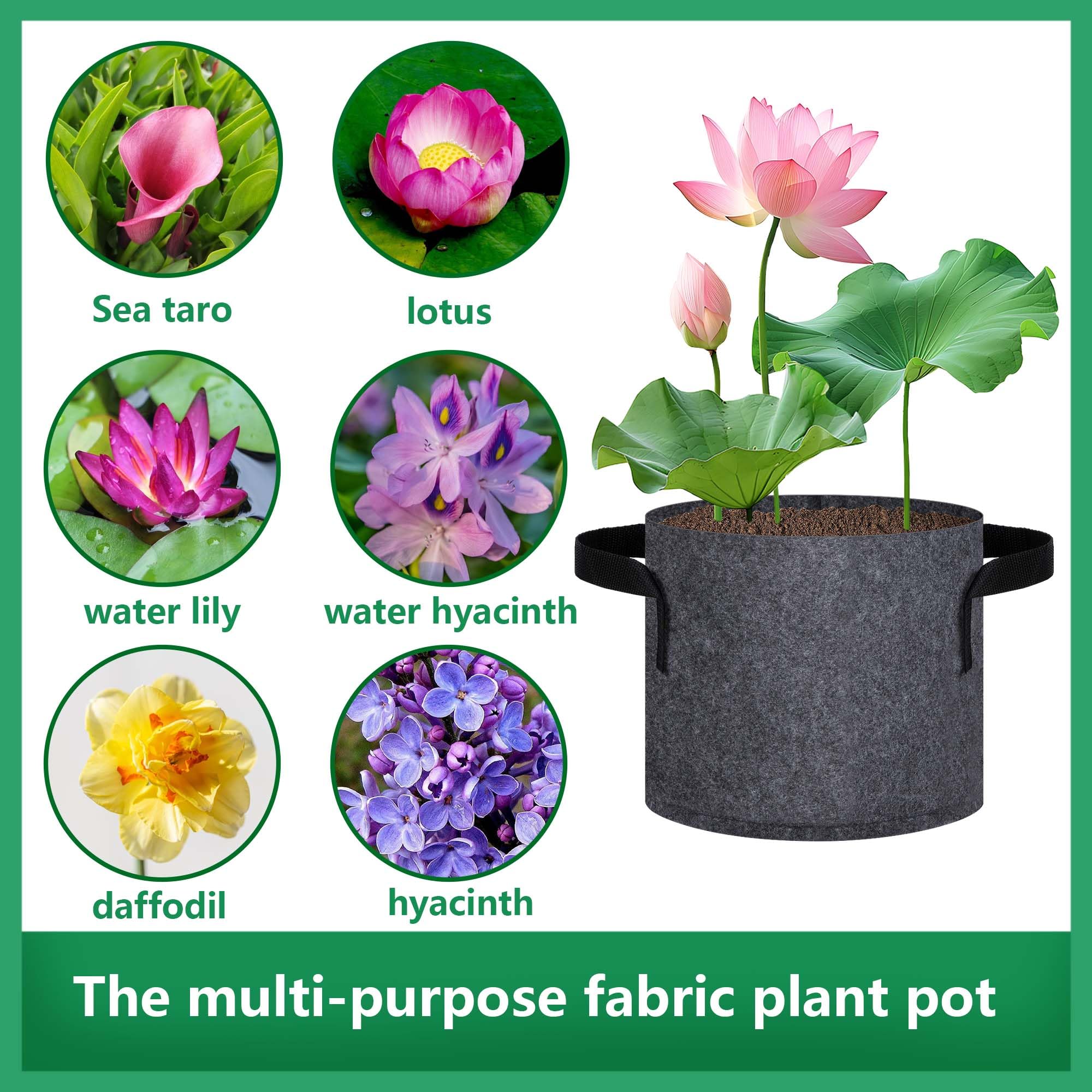 DECOHS water-lily-lotus-compatible pots fit aquatic and terrestrial plants