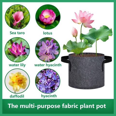 DECOHS water-lily-lotus-compatible pots fit aquatic and terrestrial plants