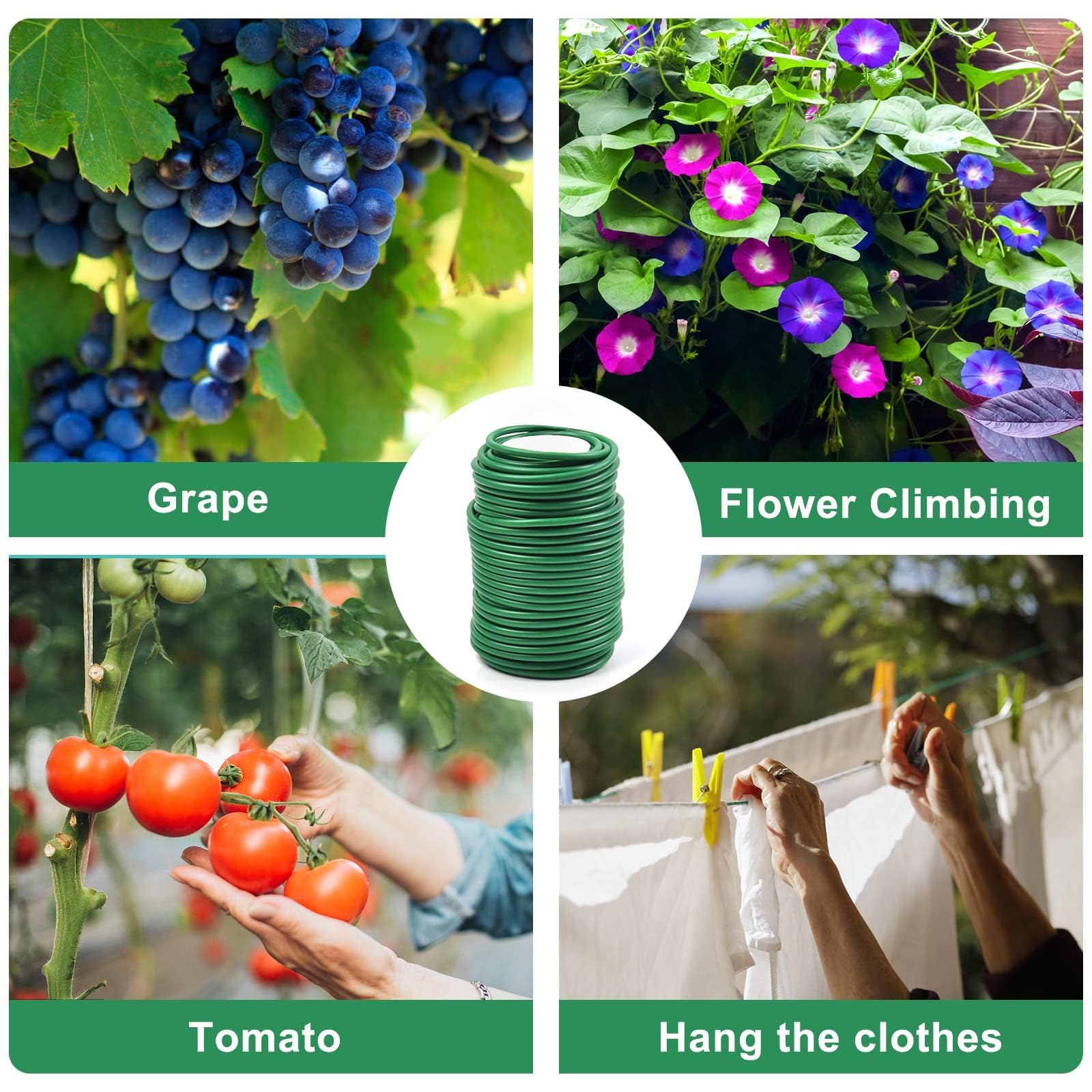 Vegetables and vines supported by Decoroca ties for steady growth