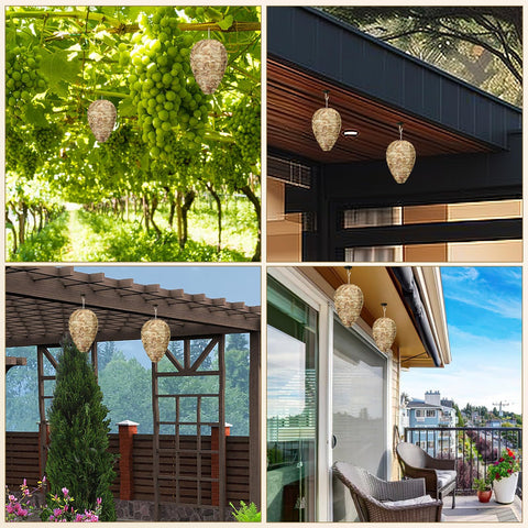 DECYOOL packaging highlights four-pack value for multiple outdoor spots