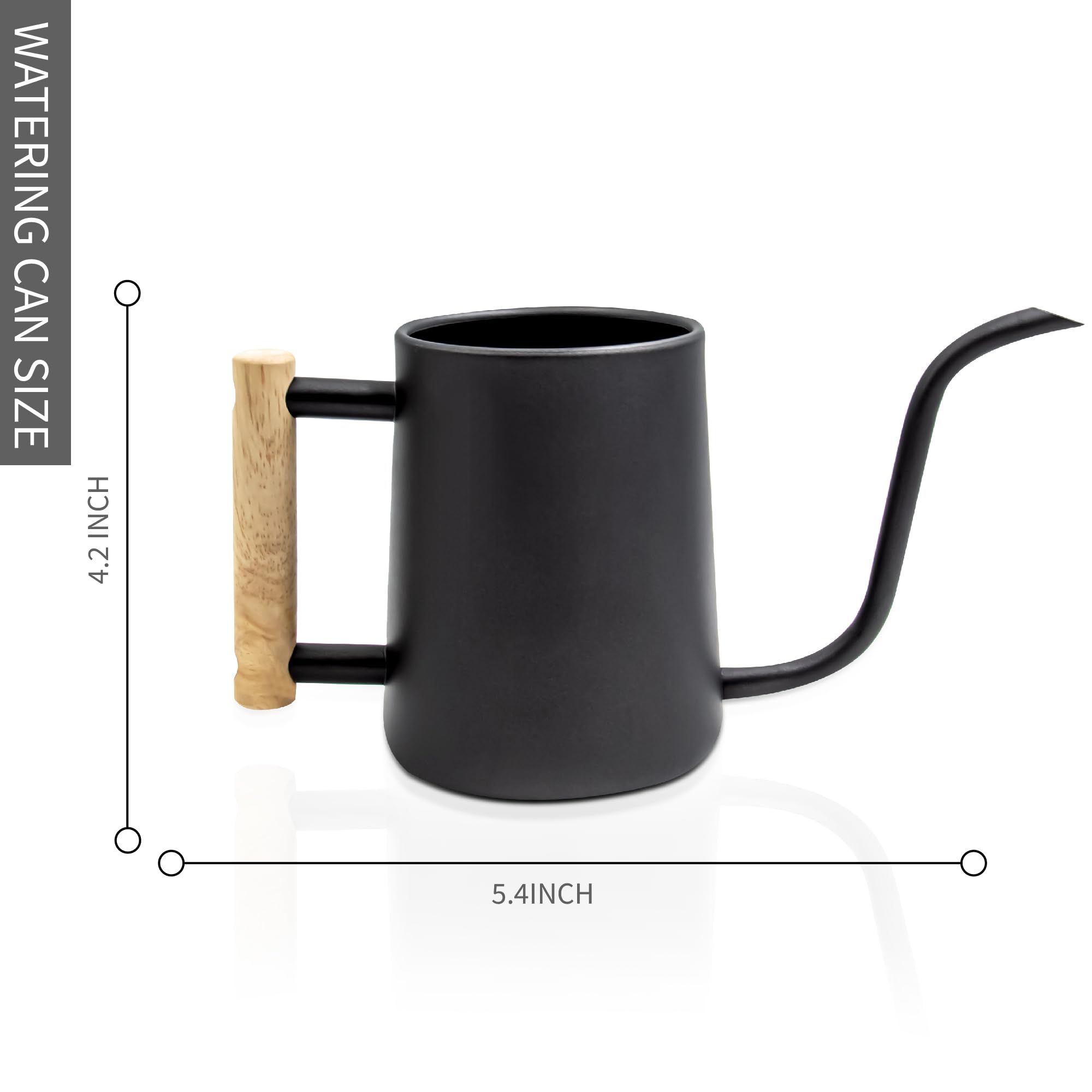 Durable stainless steel watering can with wooden ergonomic handle